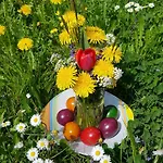 Апартаменты Gardenia-altach, 2-4 P, Kueche, Garten, Terrasse, Parkplatz, Wifi, Stellplatz *