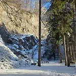 Gardenia-altach, 2-4 P, Kueche, Garten, Terrasse, Parkplatz, Wifi, Stellplatz Altach