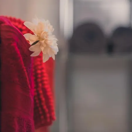 Apartament Gardenia-altach, 2-4 P, Kueche, Garten, Terrasse, Parkplatz, Wifi, Stellplatz Altach