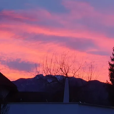 Gardenia-altach, 2-4 P, Kueche, Garten, Terrasse, Parkplatz, Wifi, Stellplatz *