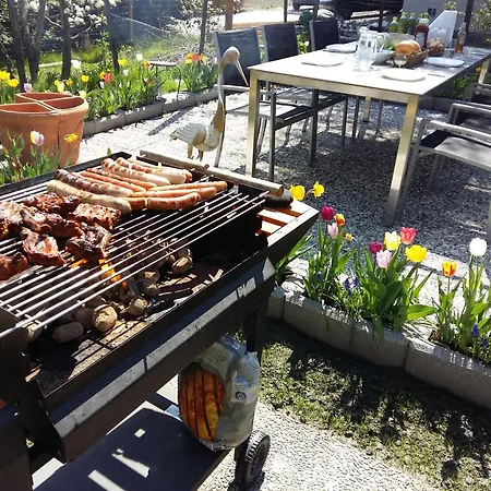 Apartman Gardenia-altach, 2-4 P, Kueche, Garten, Terrasse, Parkplatz, Wifi, Stellplatz Altach