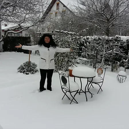 Gardenia-altach, 2-4 P, Kueche, Garten, Terrasse, Parkplatz, Wifi, Stellplatz