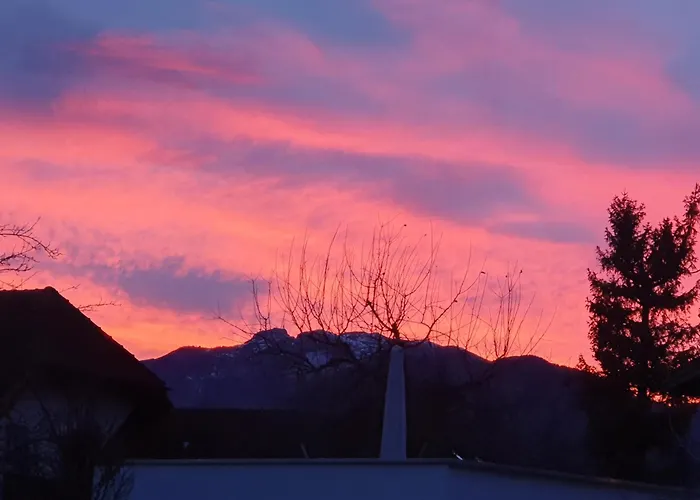 Gardenia-altach, 2-4 P, Kueche, Garten, Terrasse, Parkplatz, Wifi, Stellplatz *