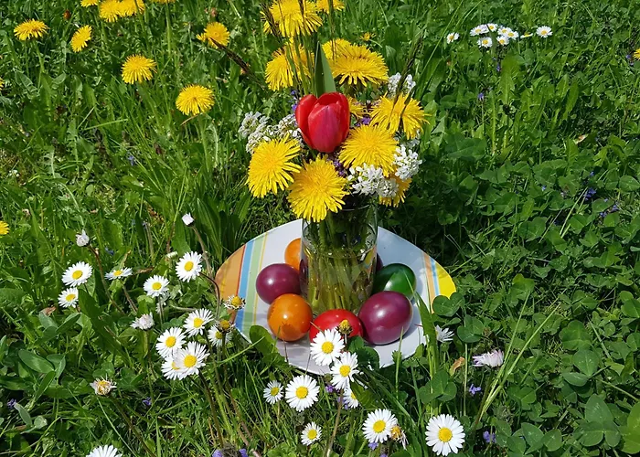 Gardenia-altach, 2-4 P, Kueche, Garten, Terrasse, Parkplatz, Wifi, Stellplatz * Altach