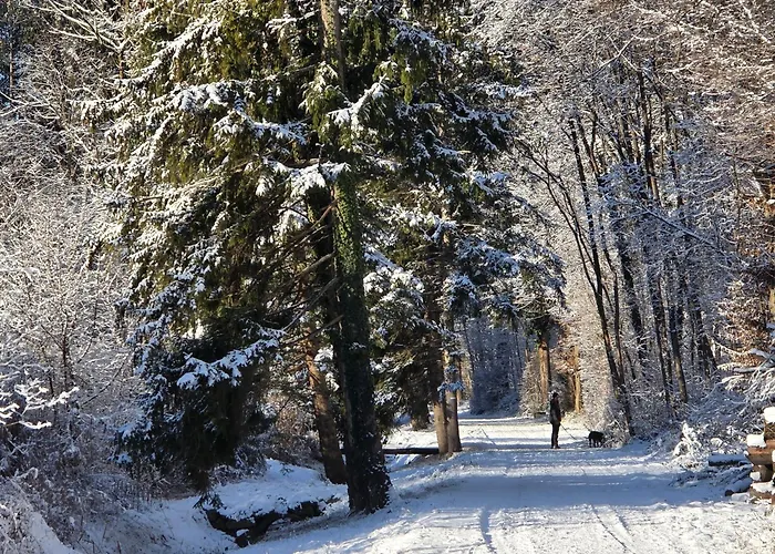 Gardenia-altach, 2-4 P, Kueche, Garten, Terrasse, Parkplatz, Wifi, Stellplatz Daire *